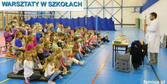 Pokazy dla dzieci Kraków