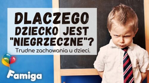 Webinar #90 - Dlaczego dziecko jest "niegrzeczne"?
