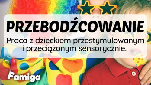 Webinar #127 - Przebodźcowanie