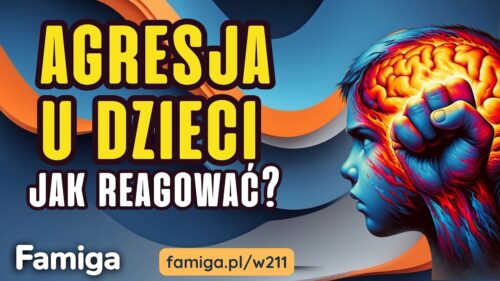 Webinar #211 - Jak sobie radzić z agresją wśród dzieci?