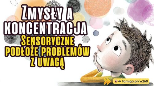 Webinar #260 - Zmysły a koncentracja