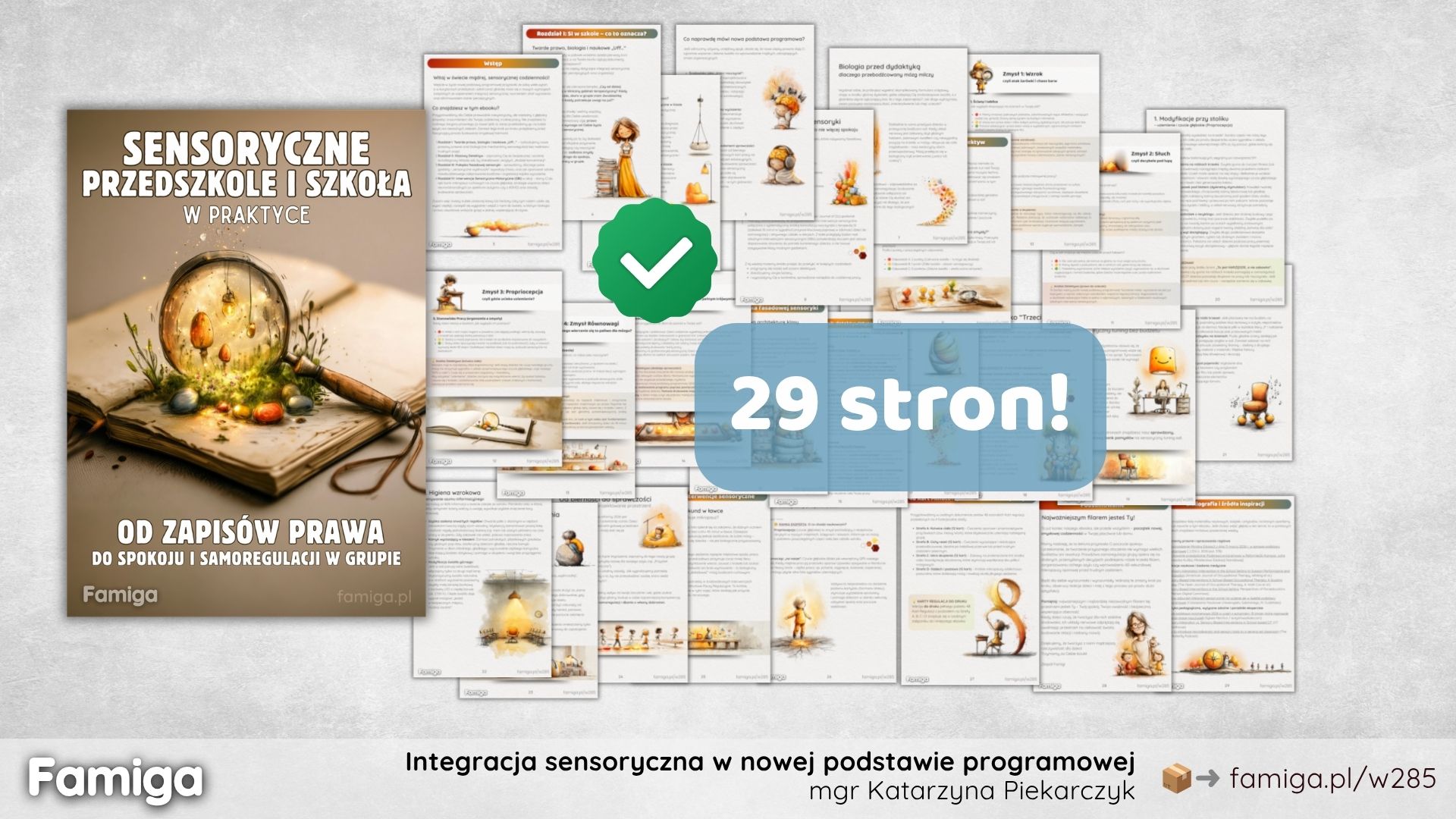 Webinar #285 - Integracja Sensoryczna w nowej podstawie programowej - obrazek 6